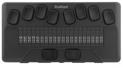 A Braille device that connects to a computer and is used for reading and writing Braille on a computer